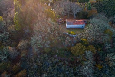 Ormandaki Kırsal Kilisenin Havadan Bakışı Ruhsal İnziva Konsepti