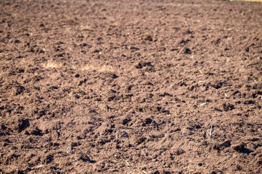 Zengin Kahverengi Toprağın Dokusunu Doğal Arkaplan Konsepti