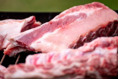 Preparing a Barbecue with a Pork Ribs The Concept of an Outdoor Cooking