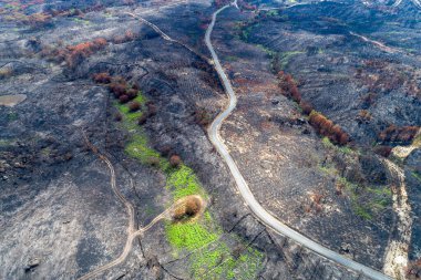 Yukarıdan Umut ve Yenilenme