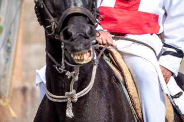 Bir Ortaçağ Fuarında Dişlerini Gösteren Bir At Hayvan İfadesi Konsepti
