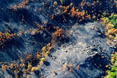 Kavurucu bir manzaradaki Uzun Gölgeler Günün Sonu Konsepti