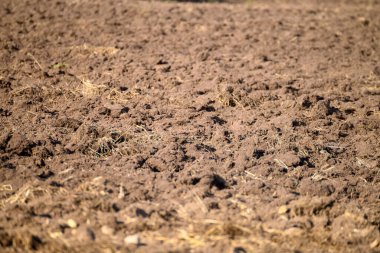 Bereketli Toprağın Dokuları