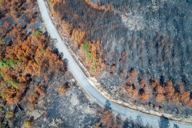 Kavurucu bir arazide Bir Yol