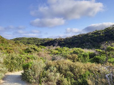 Norman Sahili 'ne akan gelgit nehri. Yerel aileler için popüler bir tatil beldesi. Wilson 's Promontory Ulusal Parkı - ıssız bölge.