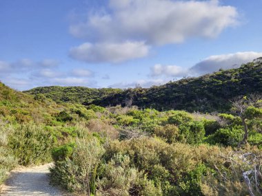 Tidal River flowing into Norman Beach. A popular holiday destination for local families. Wilson's Promontory National Park - wilderness area. clipart