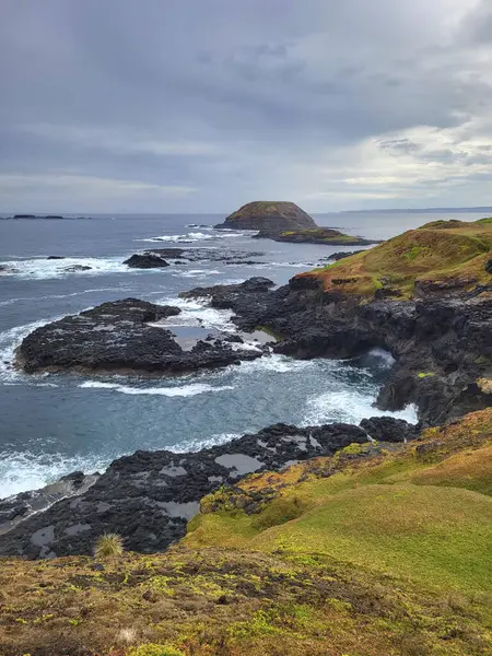 Nobbies Centre, Phillip Adası 'nın batı ucundaki Point Grant' te bulunan bir eko-turizm merkezidir. Foal Rocks Deniz Yaşam Merkezi olarak bilinen merkez, Phillip Adası tarafından yönetilmektedir.