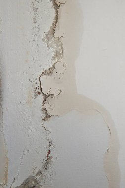 Odanın bir köşesinde, tavandaki rengarenk soyulan boyalar rutubet sorununu çözmek için tamire ve yenilemeye ihtiyaç duyuyor. Bu da küf ve siyah renk bozulmasına neden oluyor..