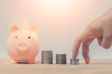 Domuz kumbarası gelecek için para biriktiriyor..