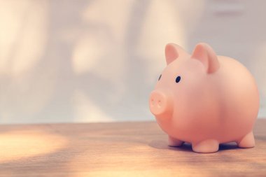 Domuz kumbarası gelecek için para biriktiriyor..