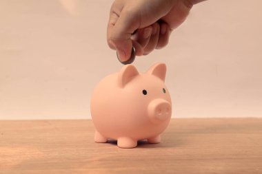 Domuz kumbarası gelecek için para biriktiriyor..