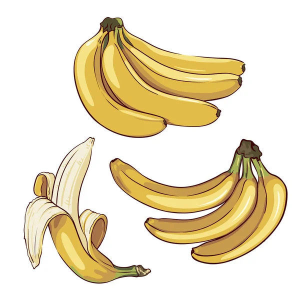 Serie Banane Mature Isolate Fondo Bianco Raccolta Elementi Banana Disegnati — Vettoriale Stock