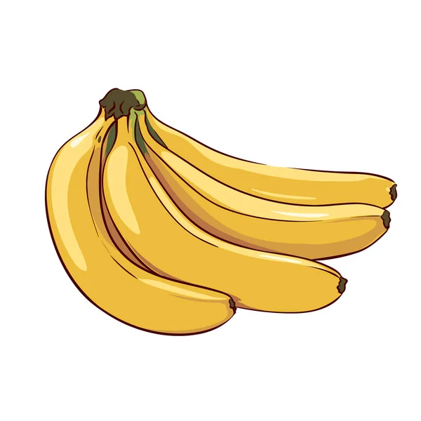 Racimo Plátanos Maduros Aislados Sobre Fondo Blanco Dibujo Frutas Tropicales — Vector de stock