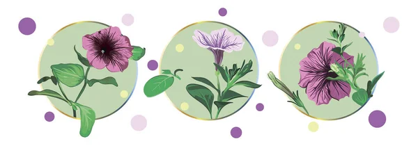 カラフルなエンドウ豆と白い背景に緑の円に隔離されたペチュニアの花を持つカードのセット 緑の葉 ライラックとピンクの花 ベクトルイラスト ヴィンテージ — ストックベクタ