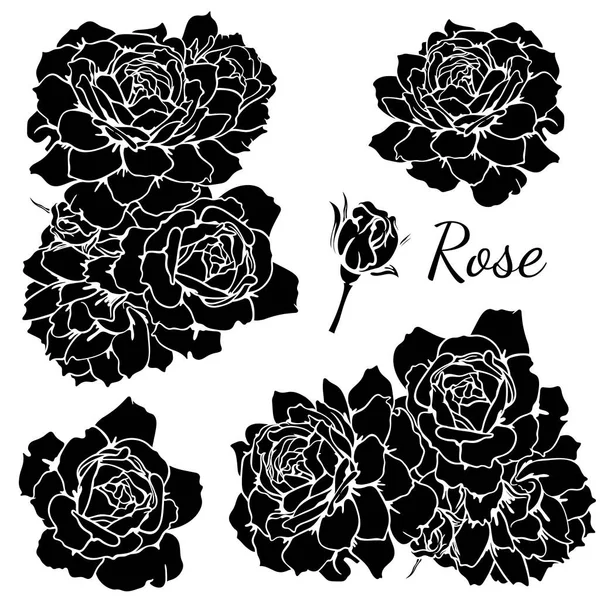 Vector Conjunto Flores Rosas Monocromas Ilustración Vectores Rosas Blanco Negro — Vector de stock