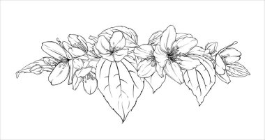 Yasemin çiçeklerinin ve yaprakların çiçekli kompozisyonu, narin taç yaprakları ve sınırları klasik tarzda terk ediyor.