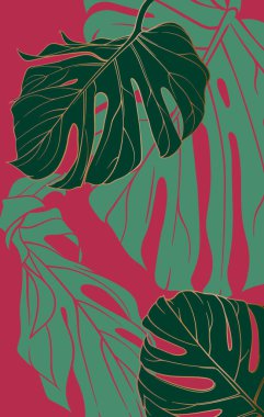 Kırmızı-yeşil zemin üzerinde büyük canavar yaprakları olan parlak bir tropikal arkaplan posteri, iç kısımda bir aksan unsuru, tekstil veya dekoratif duvar kağıdı. Altın hatlar şıktır.