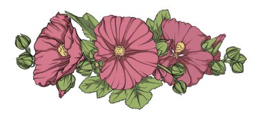 Beautiful pink flower surrounded by buds and leaves in full bloom. Delicate detailed mallow with bright petals and lush green leaves clipart