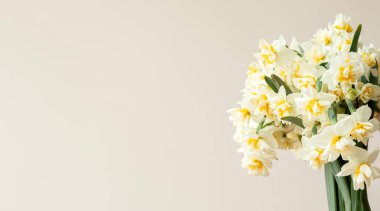 Beyaz arka planda beyaz sarı nergislerden oluşan yemyeşil buket.