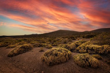 Tenerife 'deki Teide Ulusal Parkı' nda manzara günbatımı.
