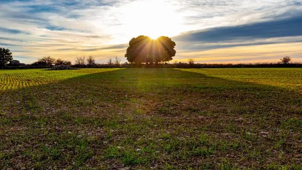 Gün batımından önce kırsal alanda manzara.