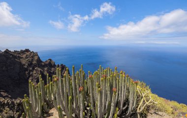 Tenerife, Kanarya Adaları 'nın kuzeyindeki Teno Kırsal Parkı' nda yürüyüş yaparken manzara.