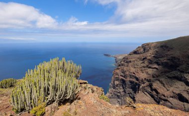 Tenerife, Kanarya Adaları 'nın kuzeyindeki Teno Kırsal Parkı' nda yürüyüş yaparken manzara.