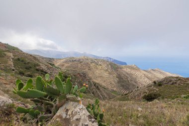 Tenerife, Kanarya Adaları 'nın kuzeyindeki Teno Kırsal Parkı' nda yürüyüş yaparken manzara.