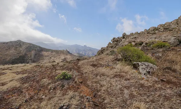 Tenerife, Kanarya Adaları 'nın kuzeyindeki Teno Kırsal Parkı' nda yürüyüş yaparken manzara.