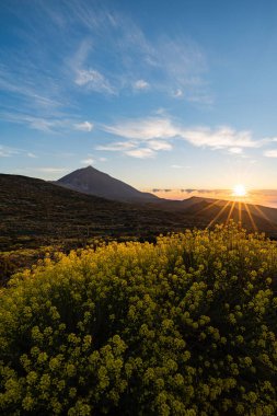 İspanya, Tenerife 'deki Teide Ulusal Parkı' ndan gün batımı manzarası.