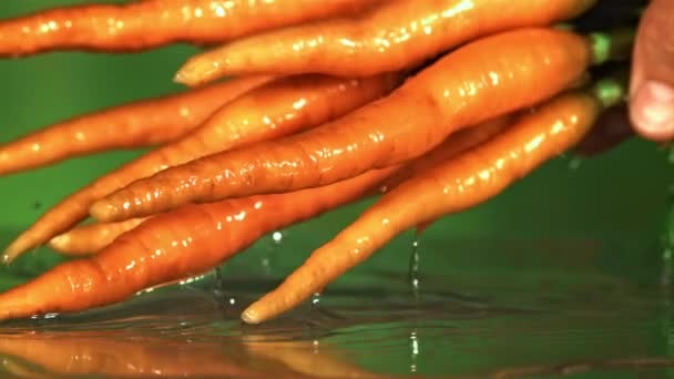 Zanahorias Frescas Mano Filmado Cámara Lenta 1000 Fps Imágenes Fullhd — Vídeos de Stock