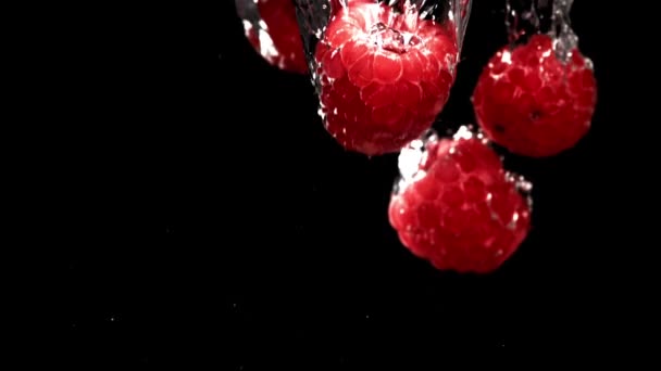 Свежая Малина Падает Воду Пузырьками Замедленная Съемка 1000 Кадров Секунду — стоковое видео