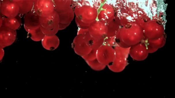 Rode Bes Valt Onder Water Met Bubbels Gefilmd Slow Motion — Stockvideo