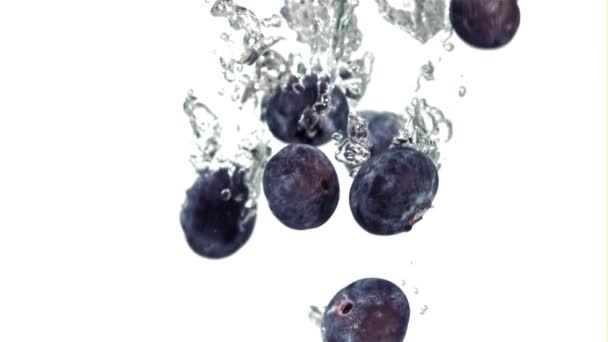 新鮮なブルーベリーは泡で水中に落ちます 高品質のフルHd映像 — ストック動画