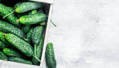 Taze salatalık içinde tepsi. Rustik arka plan üzerinde