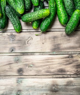 Bütün taze salatalık. Ahşap arka plan üzerinde