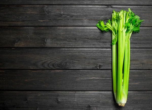 stock image Fresh green celery. On black wooden background