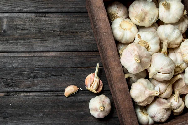 stock image Garlic in the box. On black wooden background