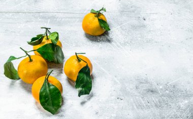 Yapraklı mandalinalar. Beyaz rustik arka plan üzerinde