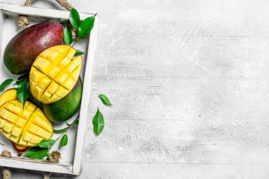 Taze olgun Mango içinde belgili tanımlık tepsi. Rustik arka plan üzerinde