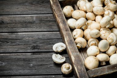 Taze kokulu mantar içinde tepsi. Siyah ahşap arka plan üzerine