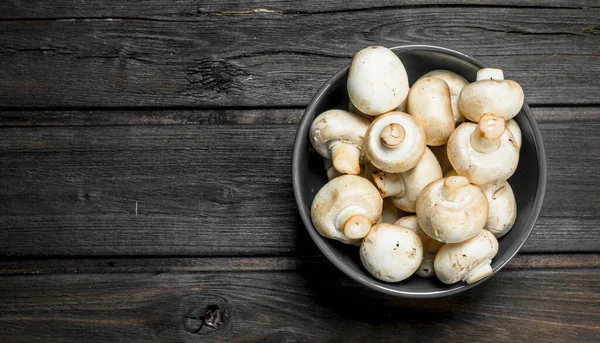 stock image Fragrant fresh mushrooms in bowl. On black wooden background