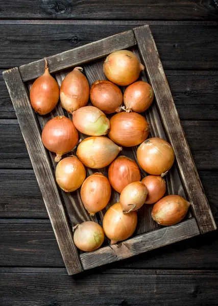Fresh Onions Tray Wooden Background — Stock Photo, Image