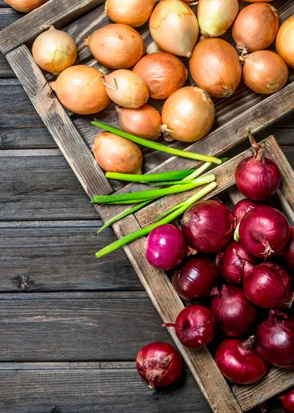 Red and yellow onions on tray and a bunch of green onions. On wooden background