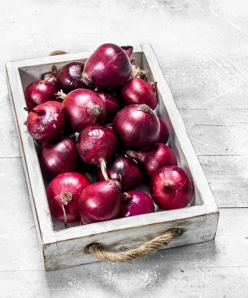 Red Onions Tray White Rustic Background — Stock Photo, Image