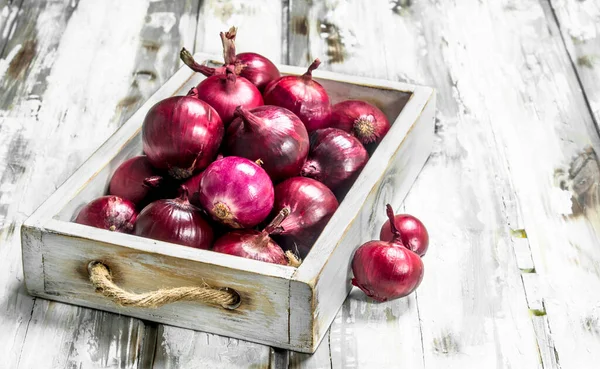 Scented Red Onions Tray Wooden Background — Stock Photo, Image