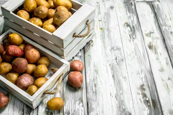 Kartoffeln Auf Tablett Und Schachtel Auf Weißem Holzgrund — Stockfoto