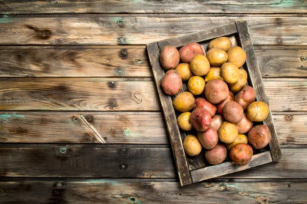 Kartoffeln Auf Einem Holztablett Auf Holzgrund — Stockfoto