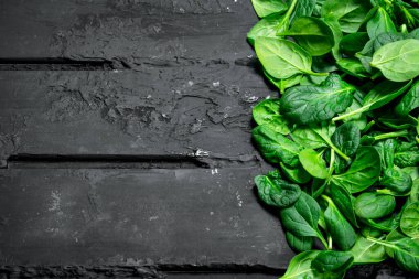 Taze yeşil ıspanak. Siyah rustik arka plan üzerinde