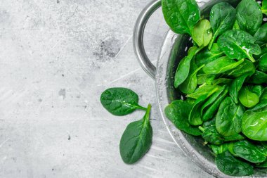 Tencerede ıspanak. Beyaz rustik arka plan üzerinde